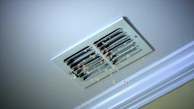 Best Air Duct Cleaning Near Me  in Tuscumbia, AL