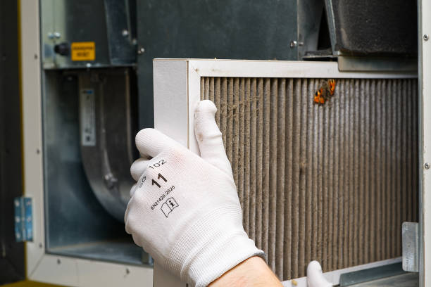 Best Air Duct Cleaning Near Me  in Tuscumbia, AL