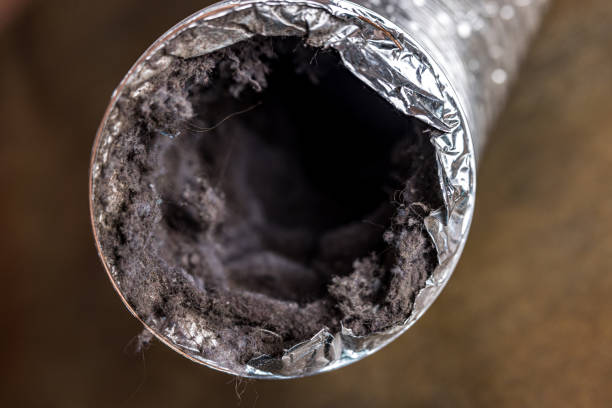 Best Commercial Air Duct Cleaning  in Tuscumbia, AL